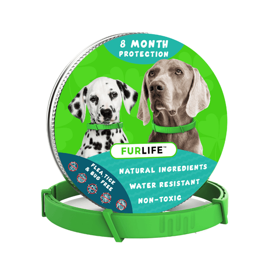 FurLife™ - 8 Months All Natural Flea and Tick Collar for Dogs