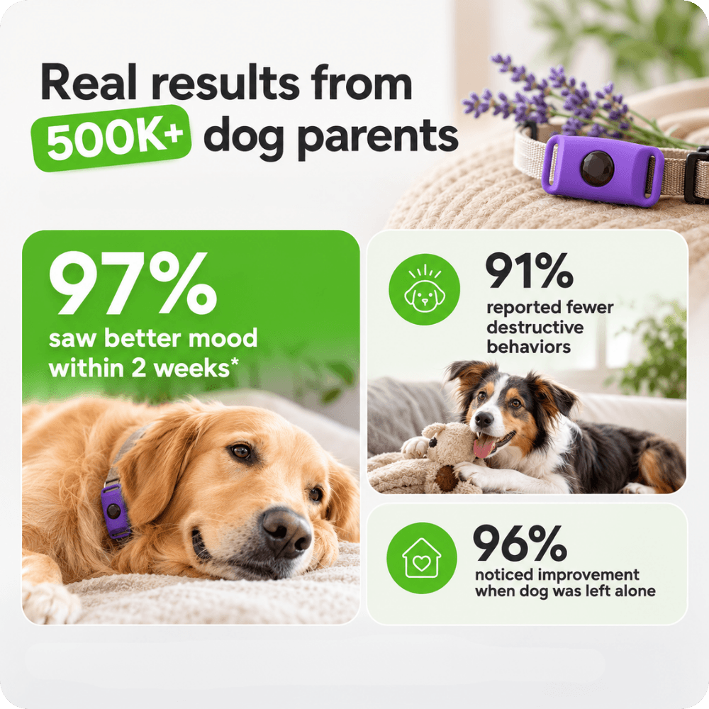 FurLife™ Imprint - Relax and Calming Pheromone Pendant