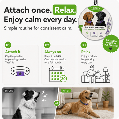 FurLife™ Calm & Comfort Dog Pendant