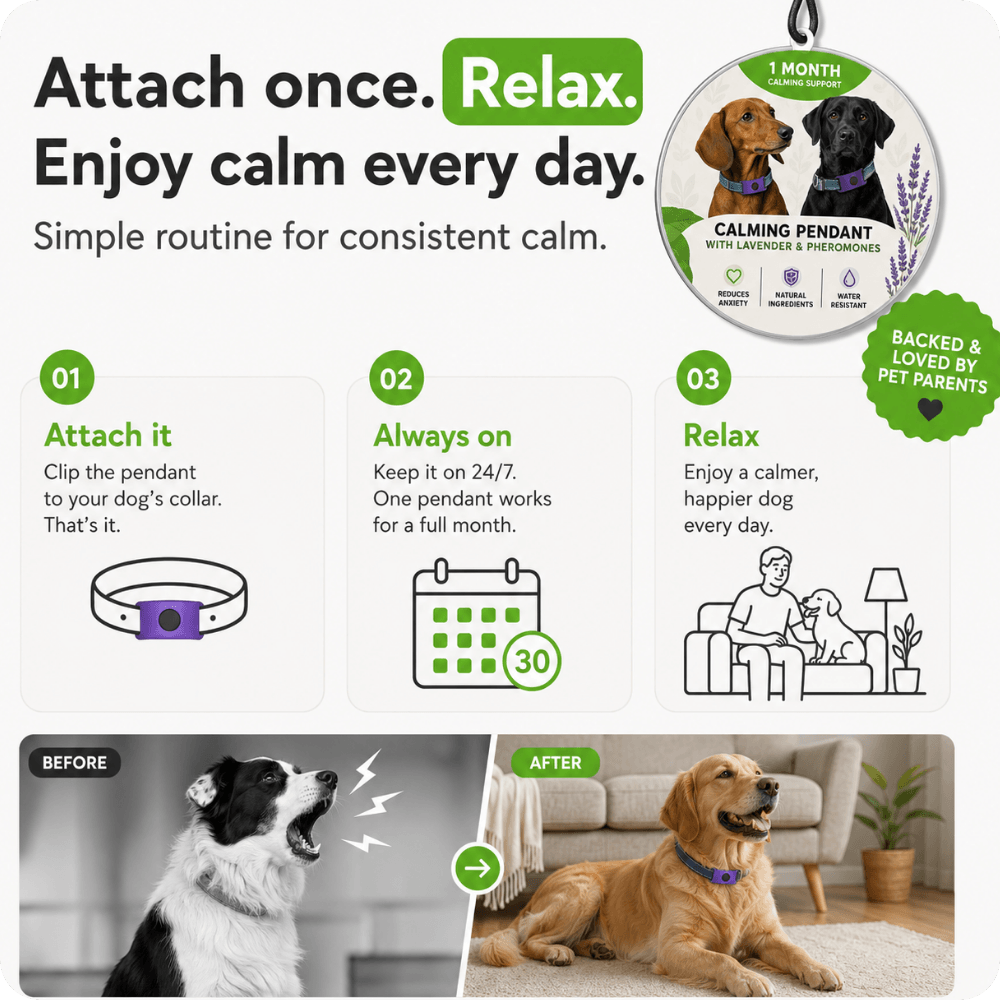 FurLife™ 1 Month Calm & Comfort Pendant