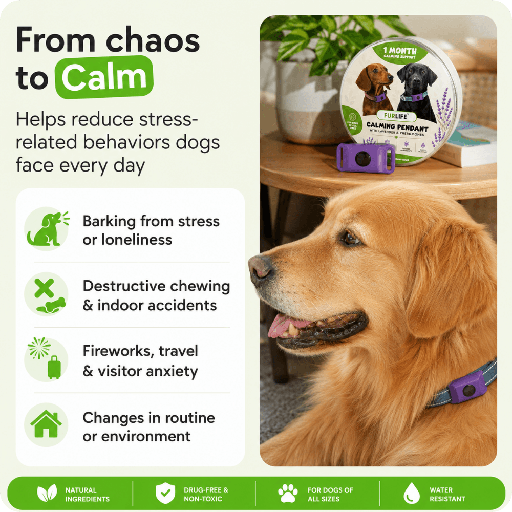 FurLife™ 1 Month Calm & Comfort Pendant