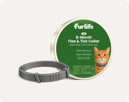 Natural Pheromone Calming Collar for Cats (TEST)
