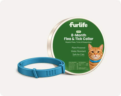 Natural Pheromone Calming Collar for Cats (TEST)