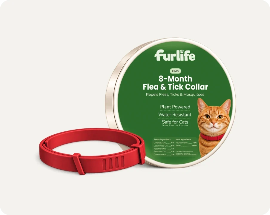 Natural Pheromone Calming Collar for Cats (TEST)